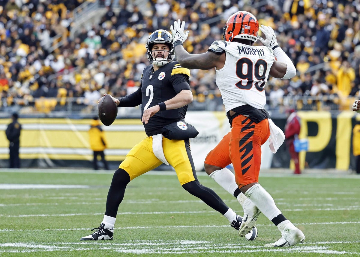 bengals vs pittsburgh steelers match player stats