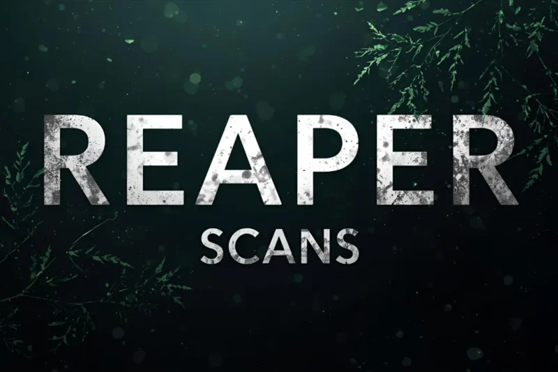 Reaper Scans: How Technology Is Changing Fan Translations