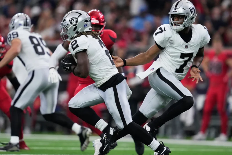 Las Vegas Raiders vs Texans Match Player Stats: Who Dominated Every Position?